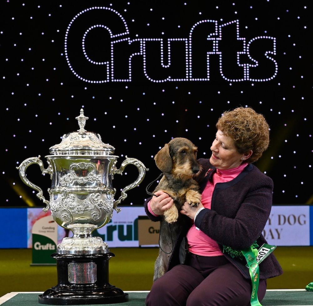 Question of the Week